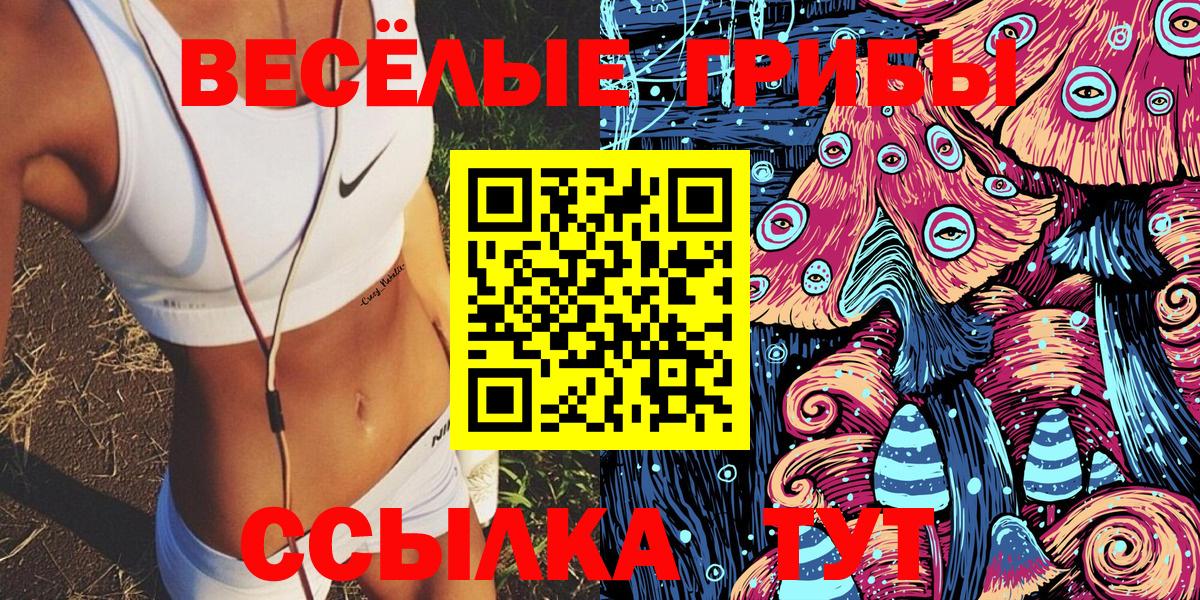 Галлюциногенные грибы мухоморы  Вход с VPN  Шахты 