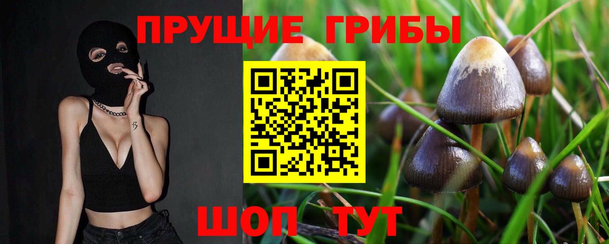 Галлюциногенные грибы ЛСД Шахты