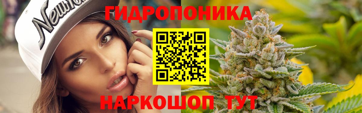 Бошки Шишки сатива  Бошки Шишки план  Конопля план  Шахты  Вход с VPN  Марихуана AK-47 